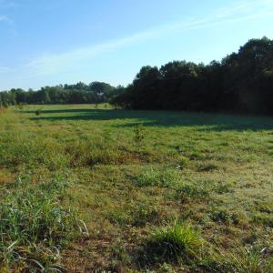 Photo #10 of County Home Lot 1, Blanch, NC 1.0 acres