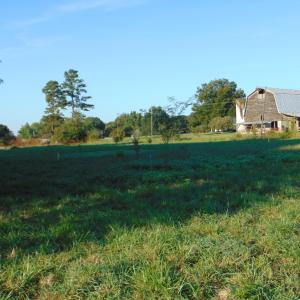 Photo #8 of County Home Lot 1, Blanch, NC 1.0 acres