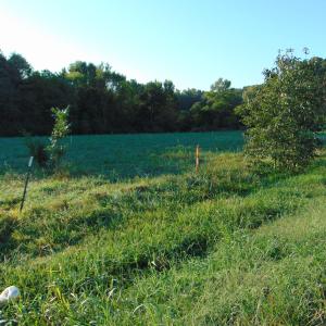 Photo #10 of County Home Road Lot 2, Blanch, NC 1.0 acres