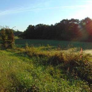 Photo #8 of County Home Road Lot 2, Blanch, NC 1.0 acres