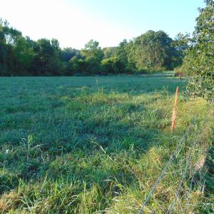 Photo #9 of County Home Road Lot 2, Blanch, NC 1.0 acres
