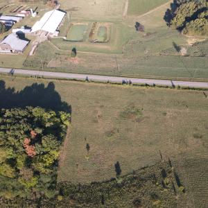 Photo #3 of County Home Road Lot 3, Blanch, NC 1.1 acres