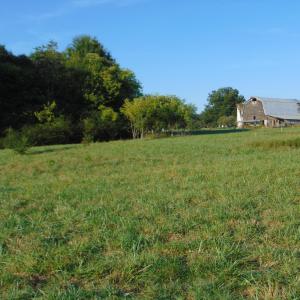 Photo #8 of County Home Road Lot 3, Blanch, NC 1.1 acres