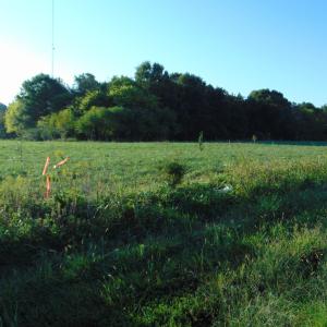 Photo #6 of County Home Road Lot 4, Blanch, NC 1.1 acres