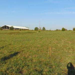 Photo #8 of County Home Road Lot 4, Blanch, NC 1.1 acres