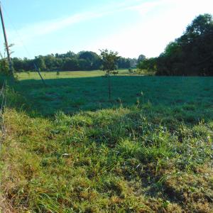 Photo #11 of County Home Road Lot 4, Blanch, NC 1.1 acres