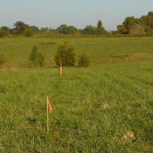 Photo #9 of County Home Road Lot 4, Blanch, NC 1.1 acres
