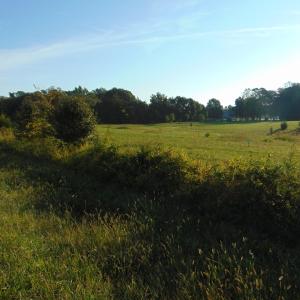 Photo #10 of County Home Road Lot 4, Blanch, NC 1.1 acres