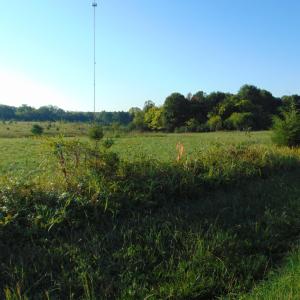 Photo #9 of County Home Road Lot 5, Blanch, NC 1.1 acres