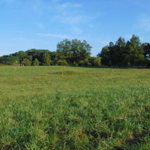 Photo #10 of County Home Road Lot 5, Blanch, NC 1.1 acres