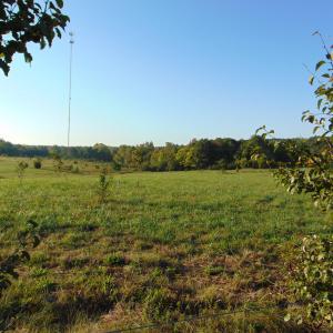Photo #7 of County Home Road Lot 5, Blanch, NC 1.1 acres