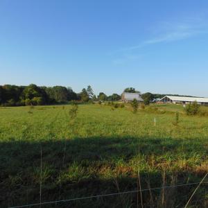 Photo #6 of County Home Road Lot 5, Blanch, NC 1.1 acres