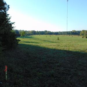 Photo #10 of Files Lot 6, Blanch, NC 1.1 acres