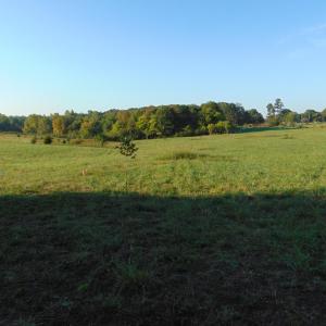 Photo #11 of Files Lot 6, Blanch, NC 1.1 acres