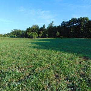 Photo #9 of Files Lot 6, Blanch, NC 1.1 acres