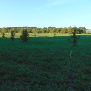 Photo #8 of Files Lot 7, Blanch, NC 1.0 acres