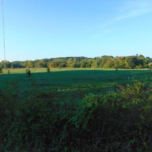 Photo #12 of Files Lot 8, Blanch, NC 1.1 acres