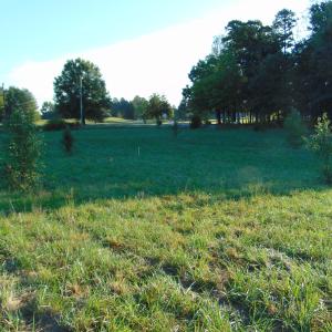Photo #9 of Files Lot 8, Blanch, NC 1.1 acres