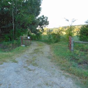 Photo #11 of Files Lot 8, Blanch, NC 1.1 acres