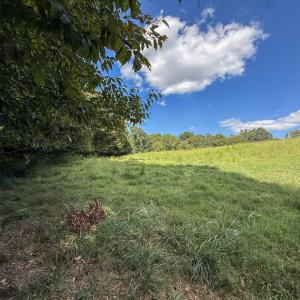 Photo #9 of 2475 Coleridge, Siler City, NC 140.0 acres
