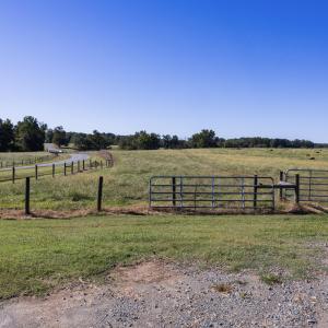 Photo #24 of 2475 Coleridge, Siler City, NC 140.0 acres