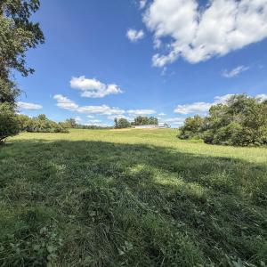 Photo #2 of 2475 Coleridge, Siler City, NC 140.0 acres