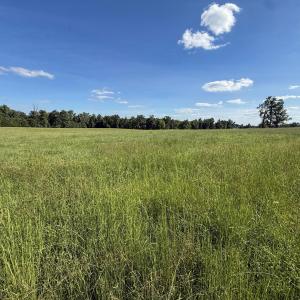 Photo #15 of 2475 Coleridge, Siler City, NC 140.0 acres