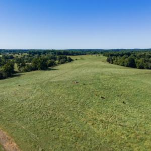 Photo #31 of 2475 Coleridge, Siler City, NC 140.0 acres
