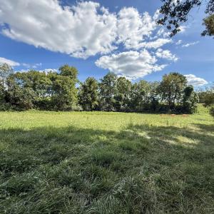 Photo #3 of 2475 Coleridge, Siler City, NC 140.0 acres