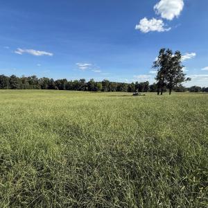 Photo #16 of 2475 Coleridge, Siler City, NC 140.0 acres