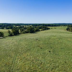 Photo #32 of 2475 Coleridge, Siler City, NC 140.0 acres