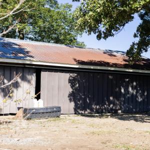 Photo #18 of 2475 Coleridge, Siler City, NC 140.0 acres
