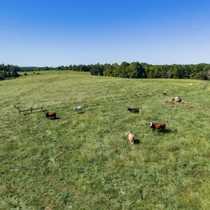 Photo #41 of 2475 Coleridge, Siler City, NC 140.0 acres