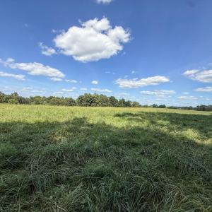 Photo #7 of 2475 Coleridge, Siler City, NC 140.0 acres