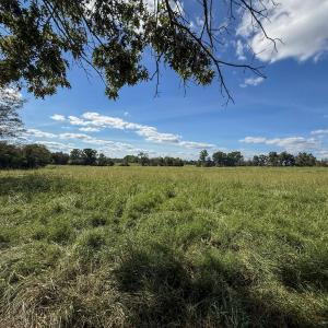 Photo #10 of 2475 Coleridge, Siler City, NC 140.0 acres