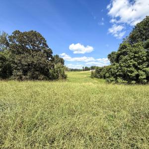 Photo #1 of 2475 Coleridge, Siler City, NC 140.0 acres