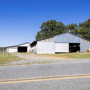 Photo #21 of 2475 Coleridge, Siler City, NC 140.0 acres