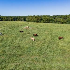Photo #40 of 2475 Coleridge, Siler City, NC 140.0 acres