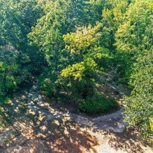 Photo #12 of 1516 Pinecrest, Durham, NC 1.7 acres
