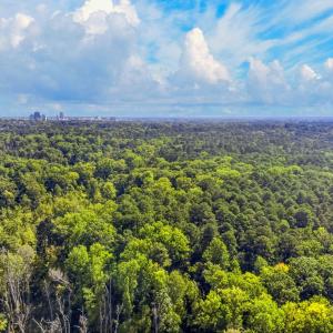 Photo #5 of 1516 Pinecrest, Durham, NC 1.7 acres