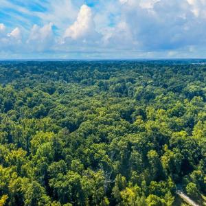 Photo #7 of 1516 Pinecrest, Durham, NC 1.7 acres