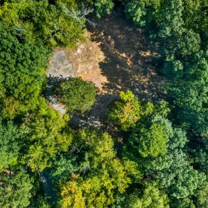 Photo #11 of 1516 Pinecrest, Durham, NC 1.7 acres