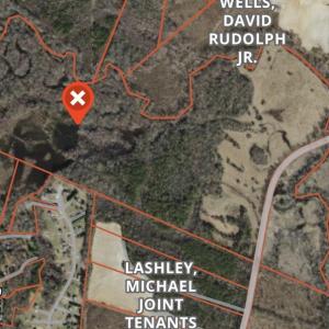 Photo #1 of Crantock, Smithfield, NC 157.8 acres