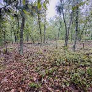 Photo #17 of 599 Mcduffie, Cameron, NC 1.5 acres