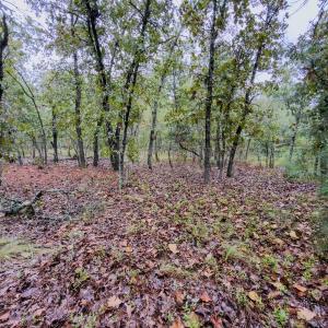 Photo #4 of 599 Mcduffie, Cameron, NC 1.5 acres