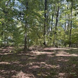 Photo #9 of Lot 19 Sugar Tree, Roxboro, NC 0.8 acres