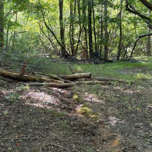 Photo #3 of 3403 Old Nc 86, Hillsborough, NC 1.0 acres