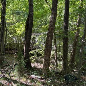 Photo #6 of 3403 Old Nc 86, Hillsborough, NC 1.0 acres