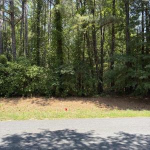 Photo #2 of 1501 Bethel, Raleigh, NC 3.2 acres