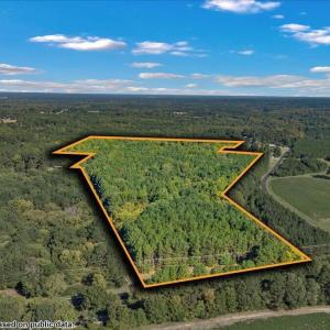Photo #8 of Us 1-158, Henderson, NC 29.0 acres